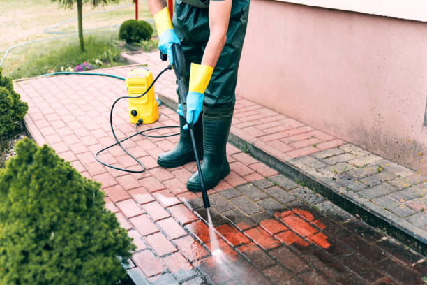 Best Residential Pressure Washing Services  in Onsted, MI