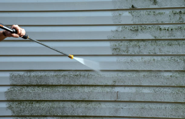 Best Residential Pressure Washing Services  in Onsted, MI