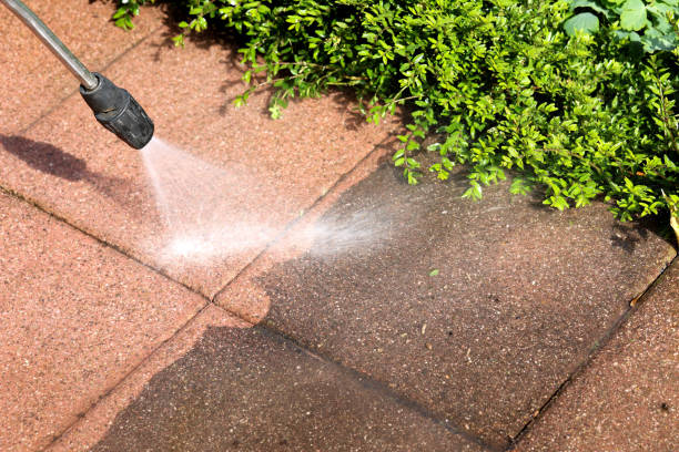 Best Local Pressure Washing Services  in Onsted, MI
